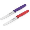 imageFarberware Professional 5242750 Paring Knives With Plastic Handles Set of 3 Green Blue and RedRed and Purple